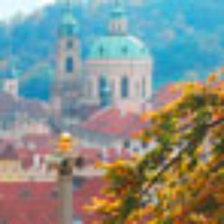 Morton's The Steakhouse